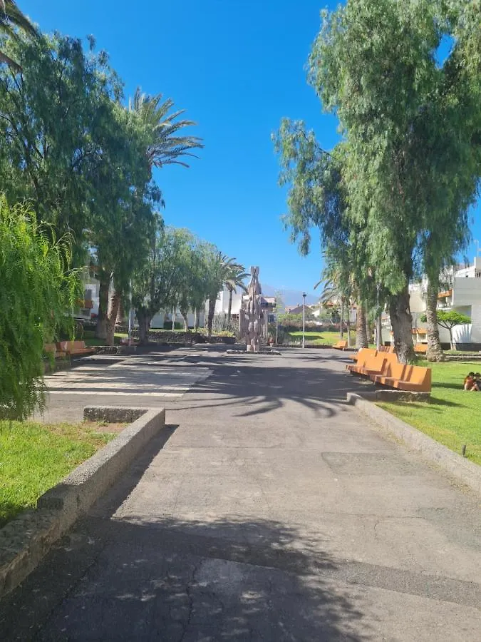Primavera Apartment Olga With Free Wifi Arona  0*, Arona (Tenerife)
