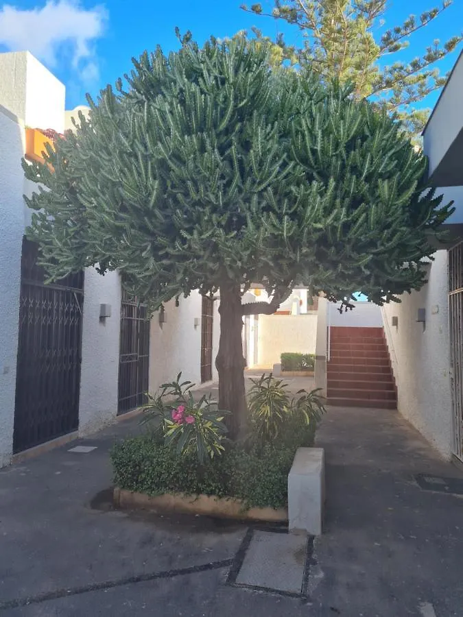 Primavera Apartment Olga With Free Wifi Arona   Arona (Tenerife)