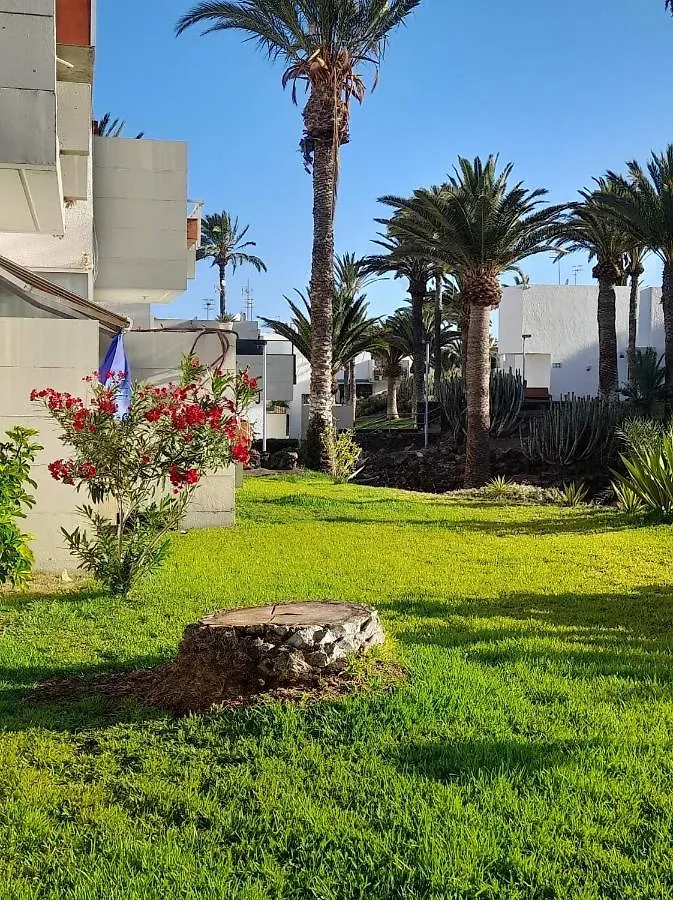 Primavera Apartment Olga With Free Wifi Arona  0*, Arona (Tenerife) Spain