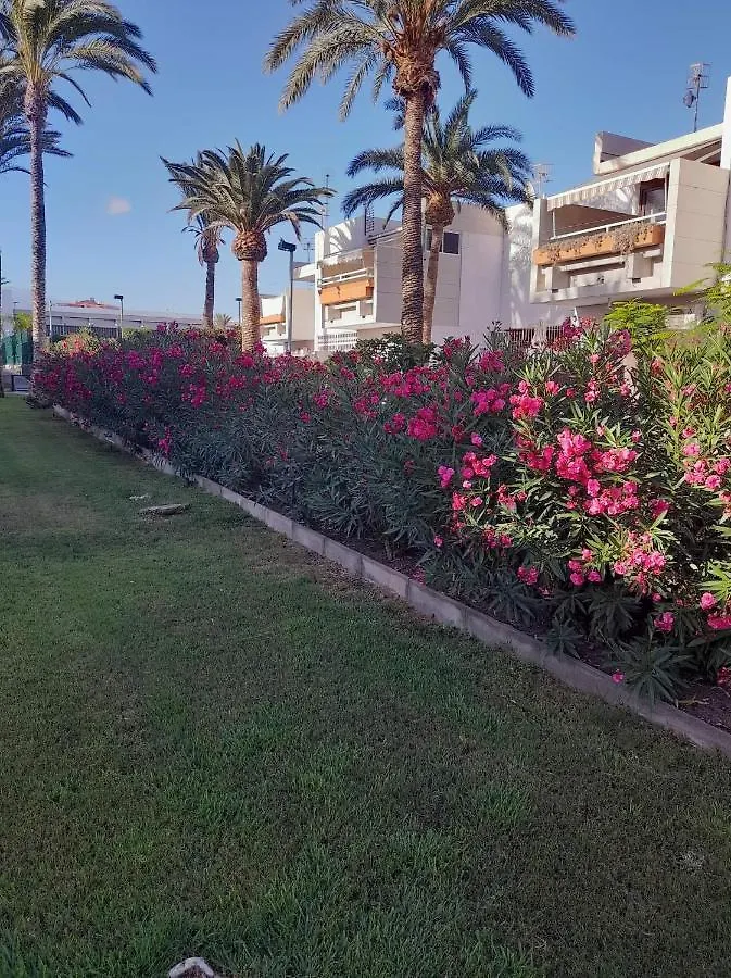 Primavera Apartment Olga With Free Wifi Arona  Arona (Tenerife)