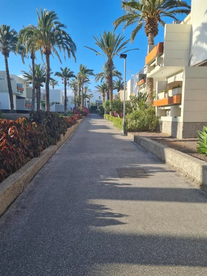 Primavera Apartment Olga With Free Wifi Arona   Arona (Tenerife)