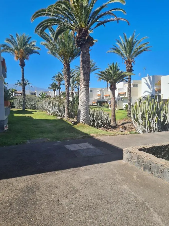 Primavera Apartment Olga With Free Wifi Arona  Spain